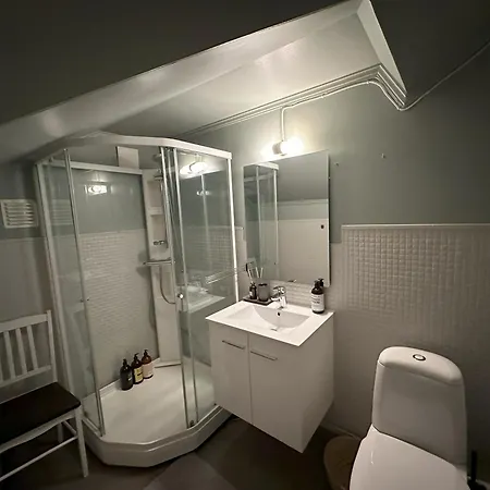 Dom wakacyjny Stort Hus Sentralt I *