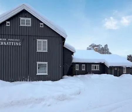 Stort Hus Sentralt I